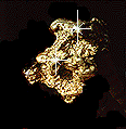Nugget flash.gif (6367 bytes)